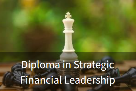 >Strategic Financial Leadership