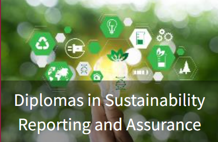 >Sustainability Reporting & Assurance