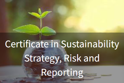 >Sustainability Strategy, Risk & Reporting